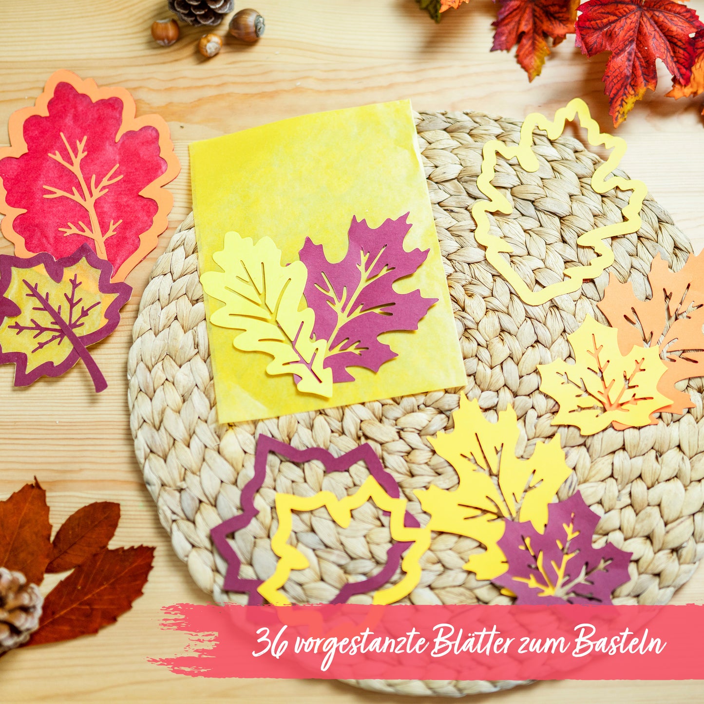 Fensterbilder – 36 Blätter