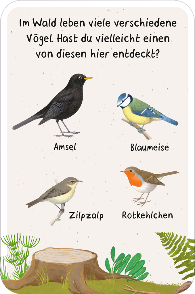 50 Entdeckerkarten - Suchspiele in der Natur