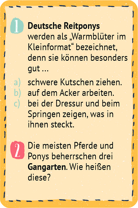 Pocket Games Quiz Pferde und Pony (ab 6 Jahren)