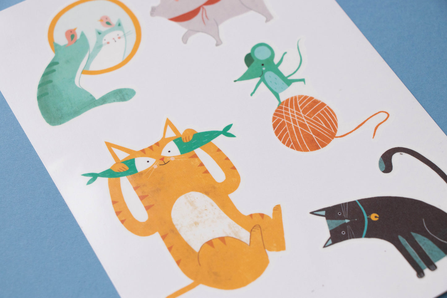 Kindertattoos "Katzen"