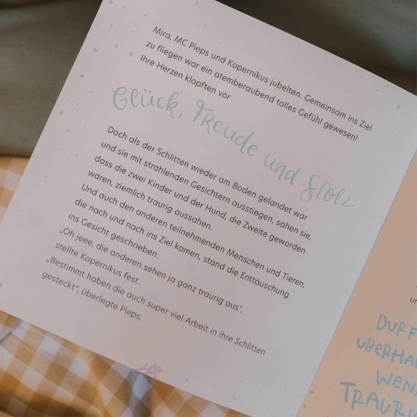 Der fliegende Schlitten - Ich bin stolz auf mich!