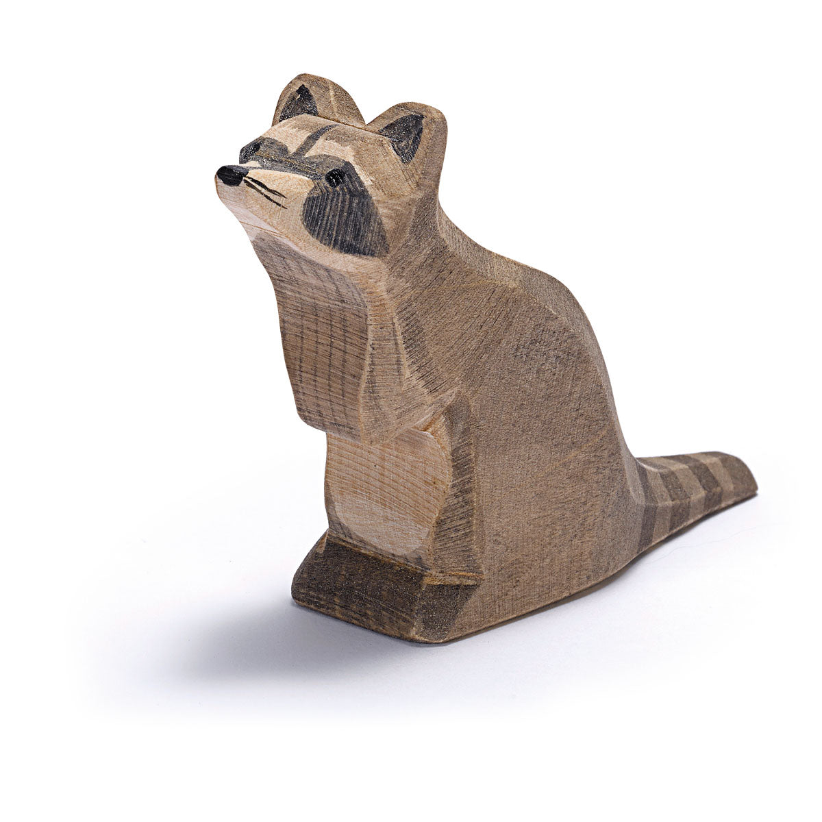 Waschbär (verschiedene Varianten)