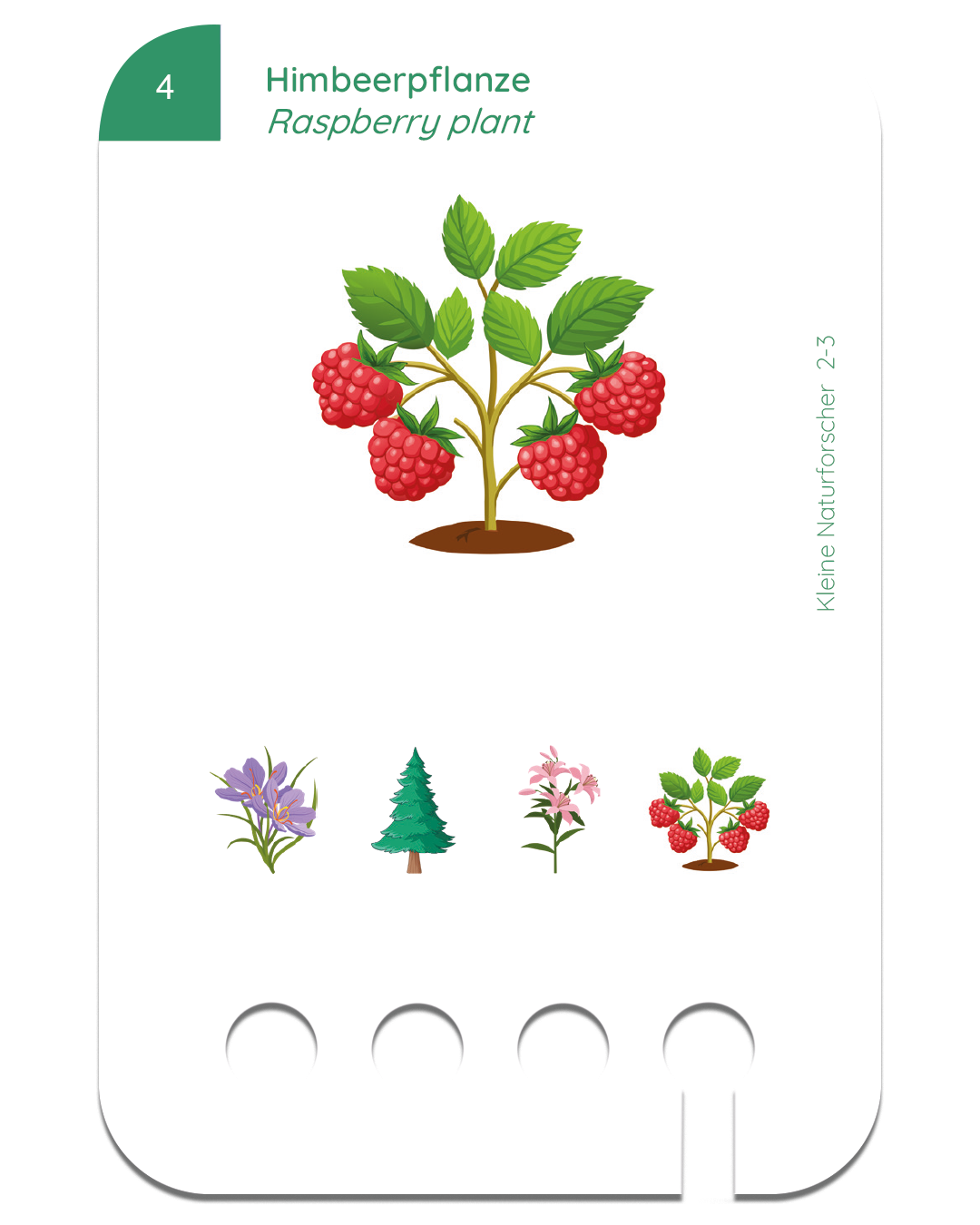 Kartensatz: Kleine Naturforscher (2+)