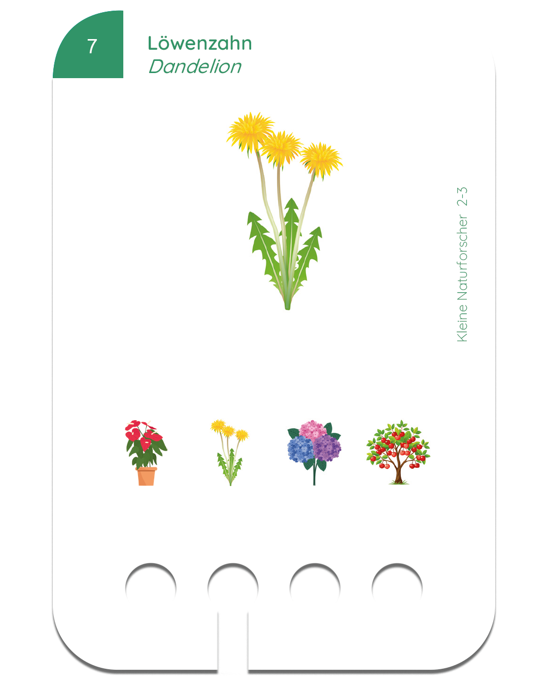 Kartensatz: Kleine Naturforscher (2+)