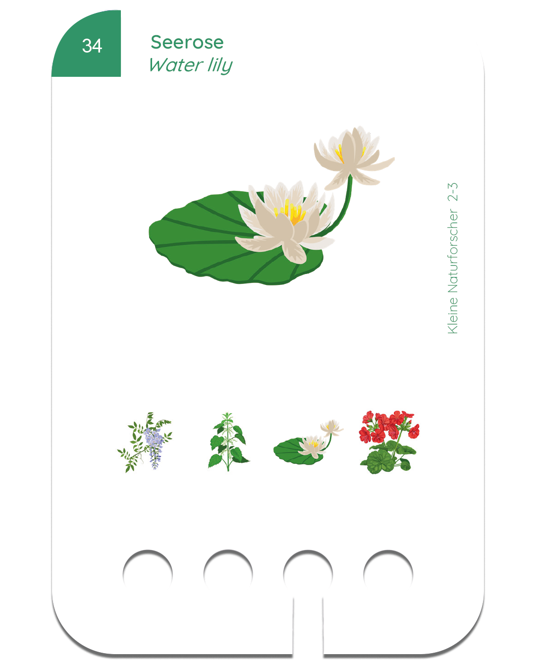 Kartensatz: Kleine Naturforscher (2+)