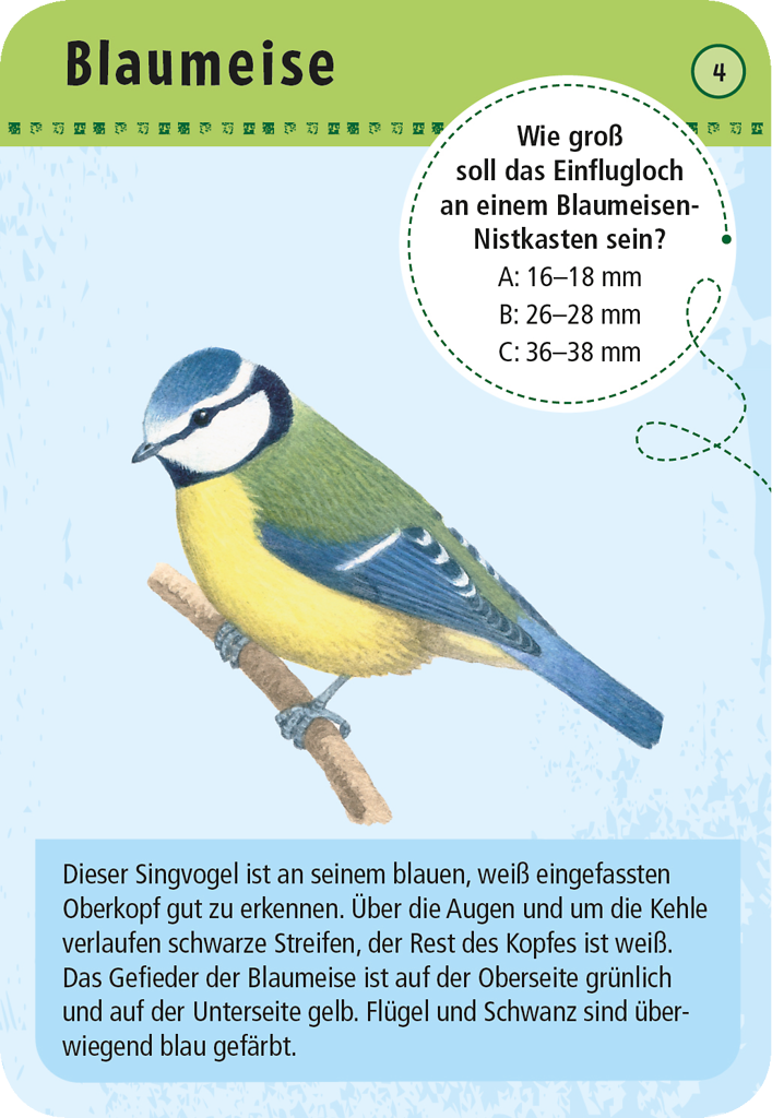 Expedition Natur - 50 heimische Vögel