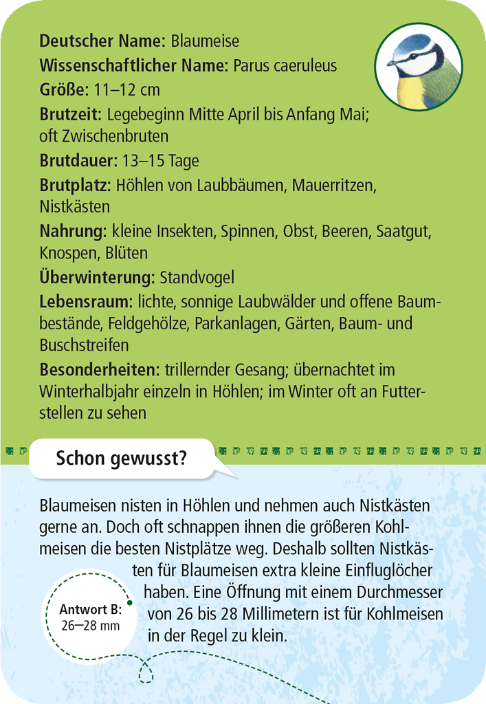 Expedition Natur - 50 heimische Vögel