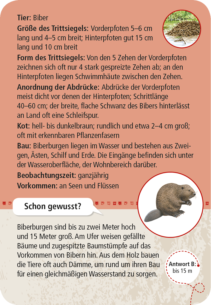 Expedition Natur - 50 Tierspuren