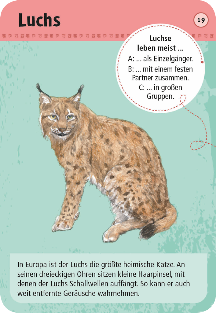 Expedition Natur - 50 heimische Wald- und Wildtiere