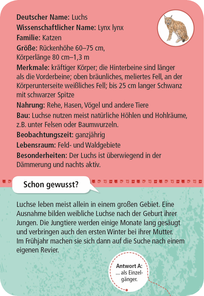 Expedition Natur - 50 heimische Wald- und Wildtiere