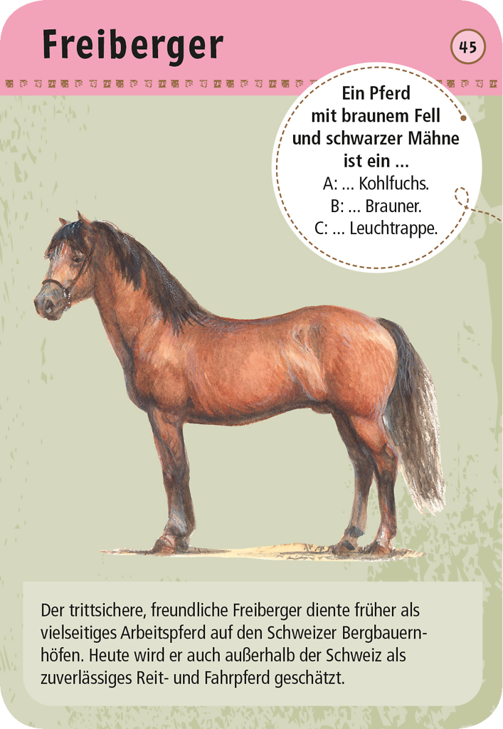 Expedition Natur - 50 Pferde & Ponys