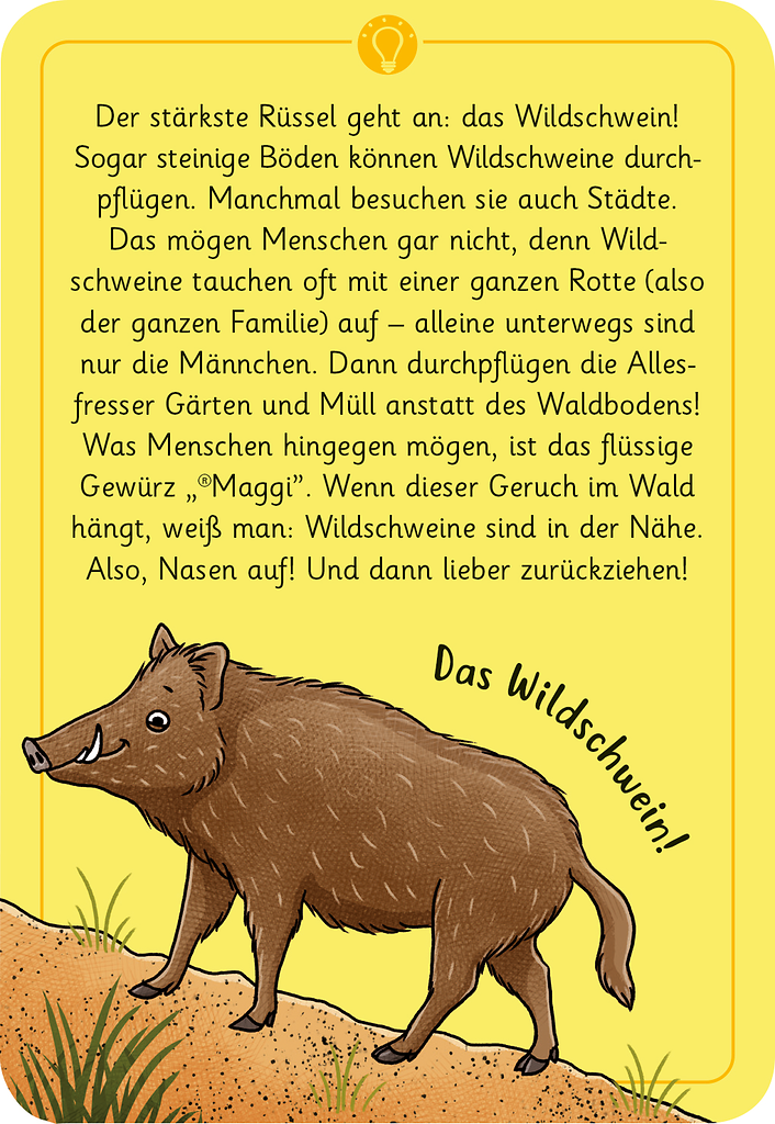 Expedition Natur - 50 Tierrätsel Wald