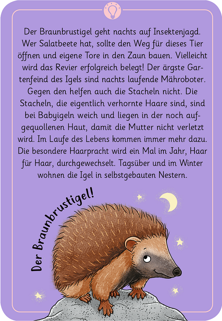 Expedition Natur - 50 Tierrätsel Tiere der Nacht