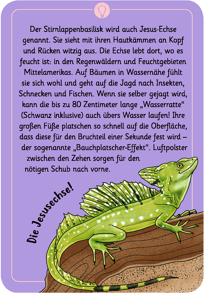 Expedition Natur - 50 Tierrätsel Tricks und Tarnung