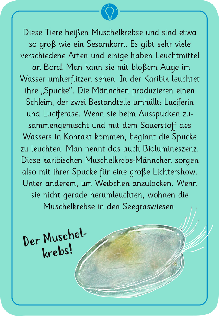 Expedition Natur - 50 Tierrätsel Tricks und Tarnung