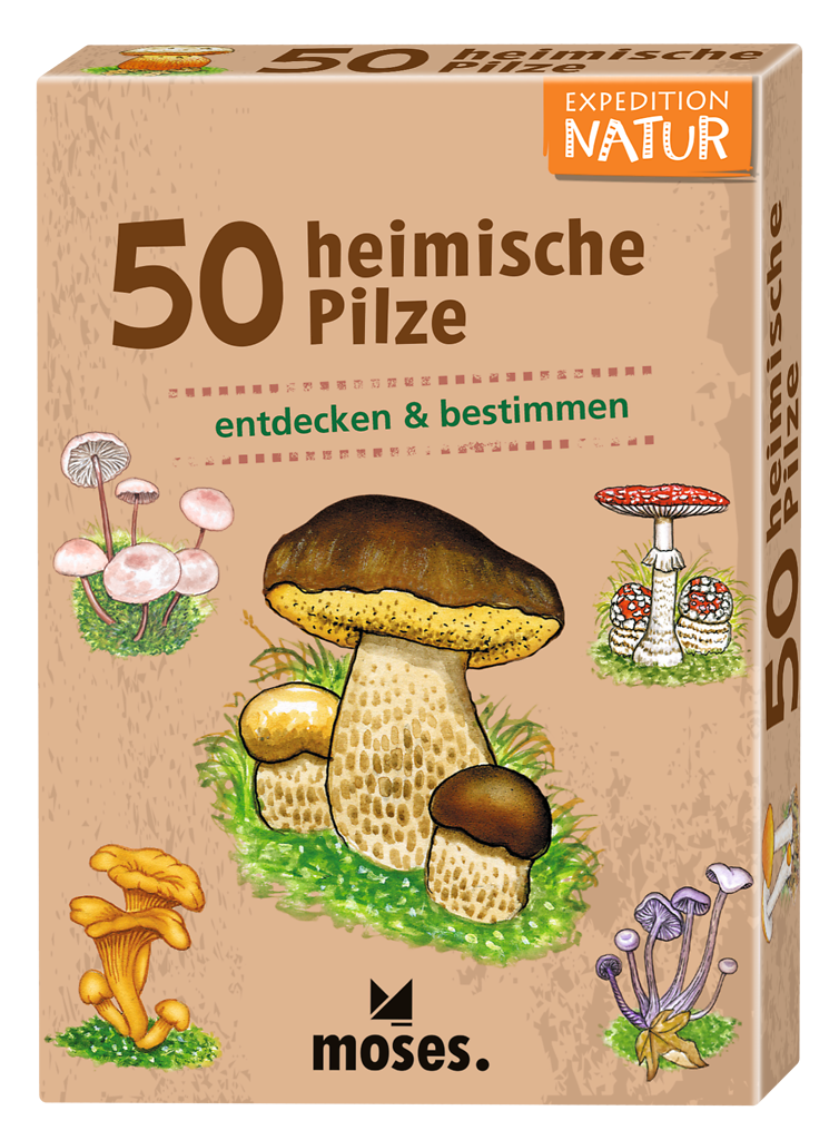 50 heimische Pilze