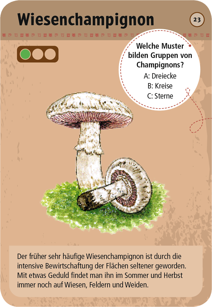 50 heimische Pilze