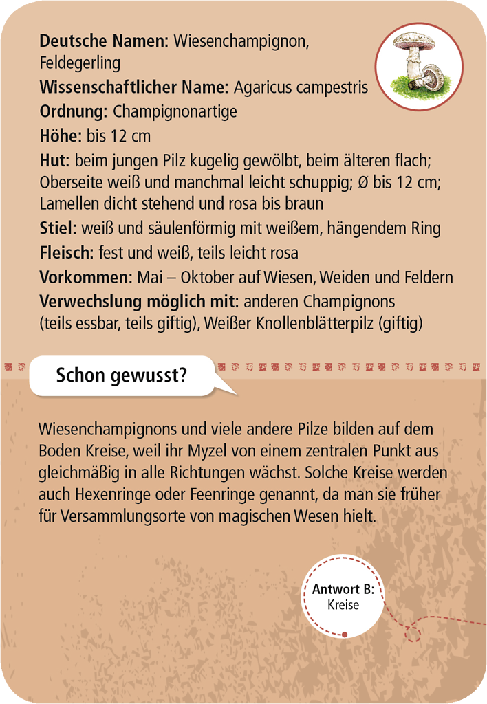 50 heimische Pilze