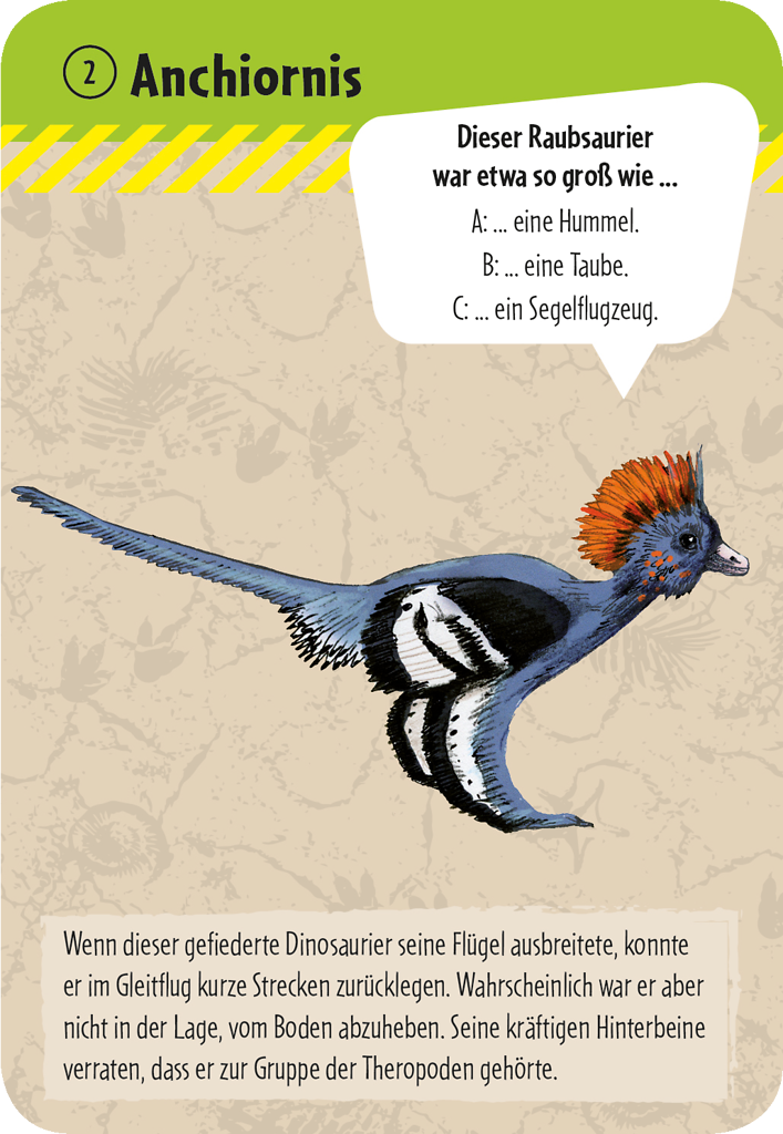 50 Dinosaurier - erkennen & staunen