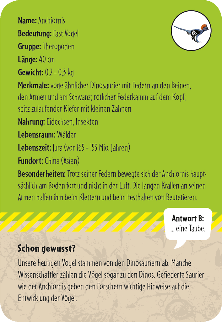 50 Dinosaurier - erkennen & staunen