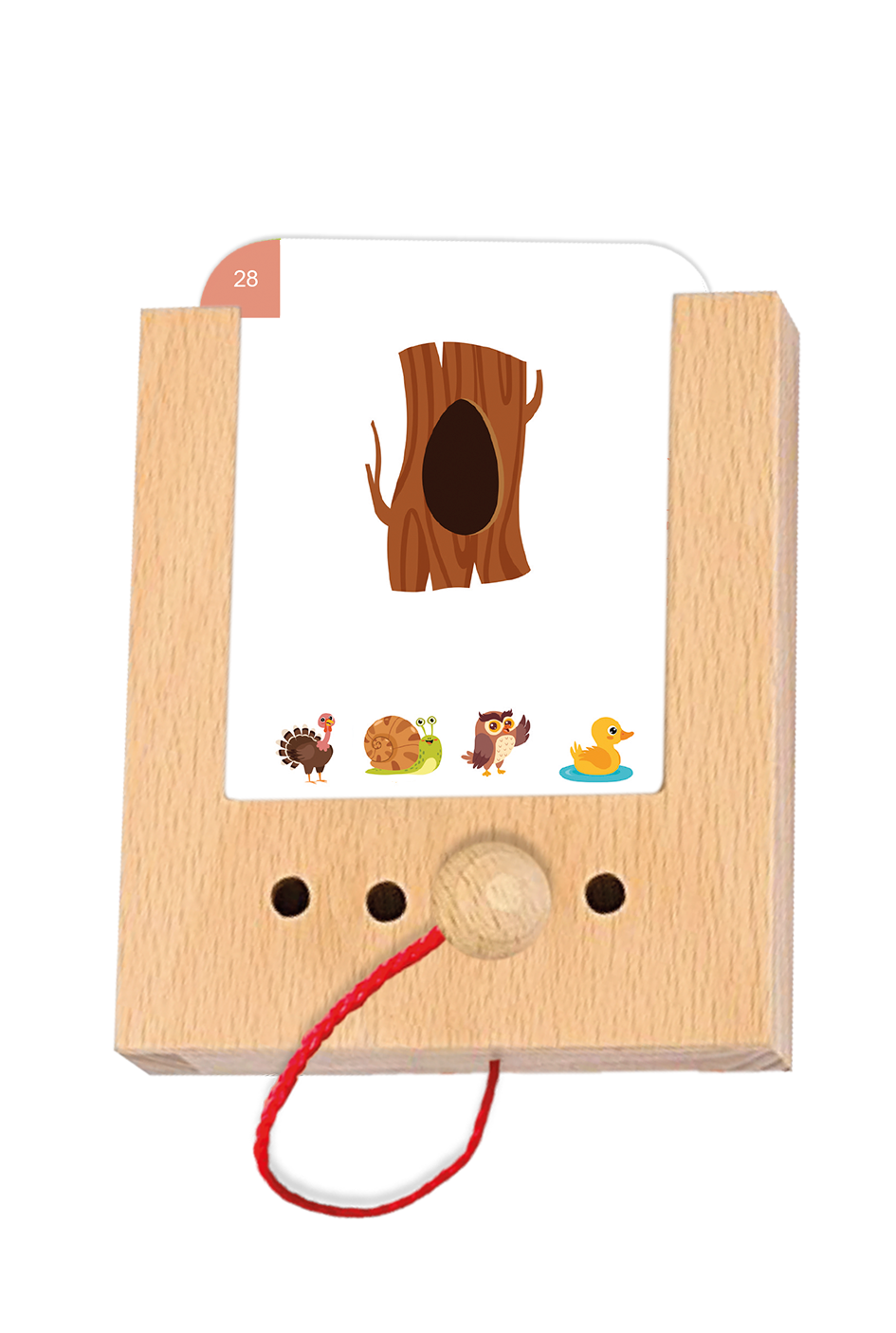 Kartensatz: Tierisches Zuhause (4+)