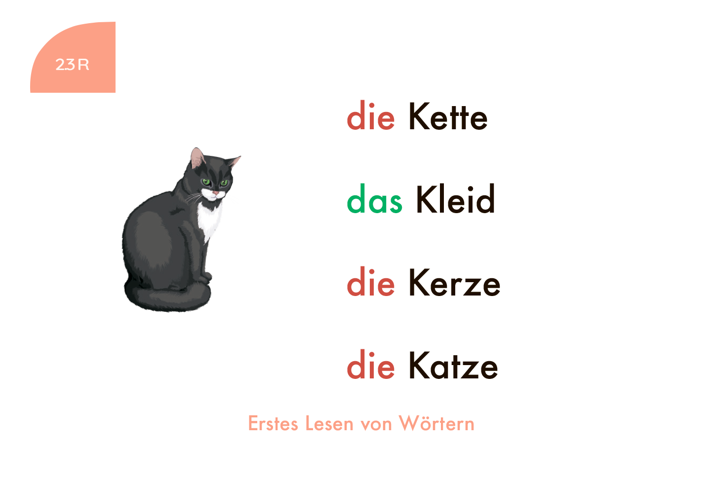 Kartensatz: Erstes Lesen von Wörtern (1. Klasse)