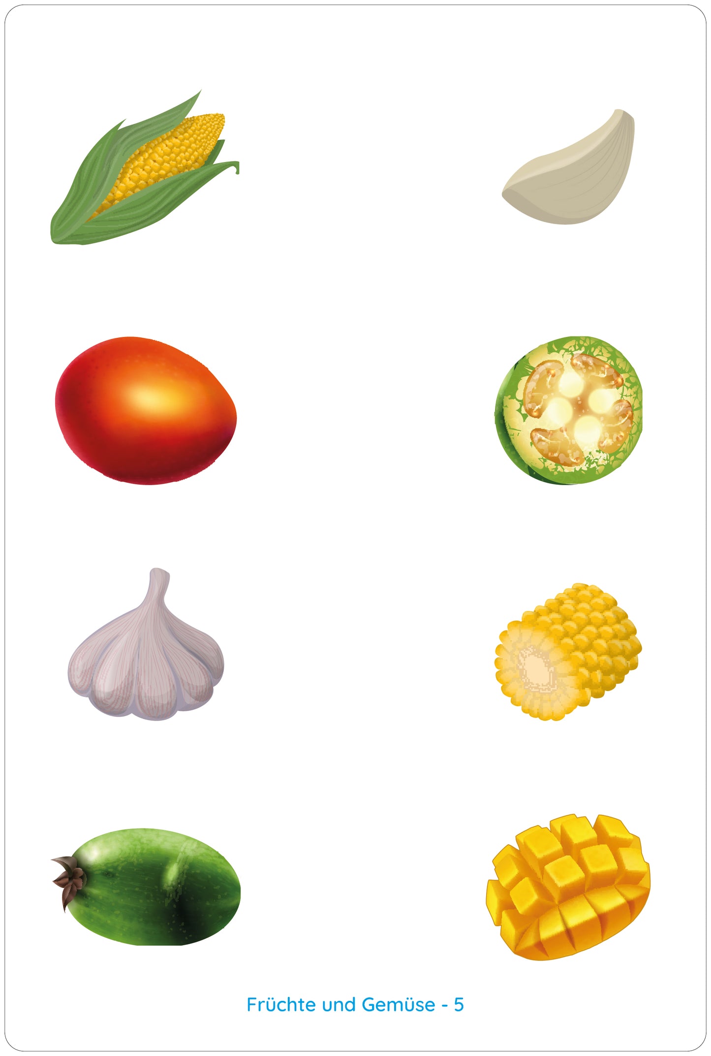Lemo Kartensatz: Früchte und Gemüse (3+)
