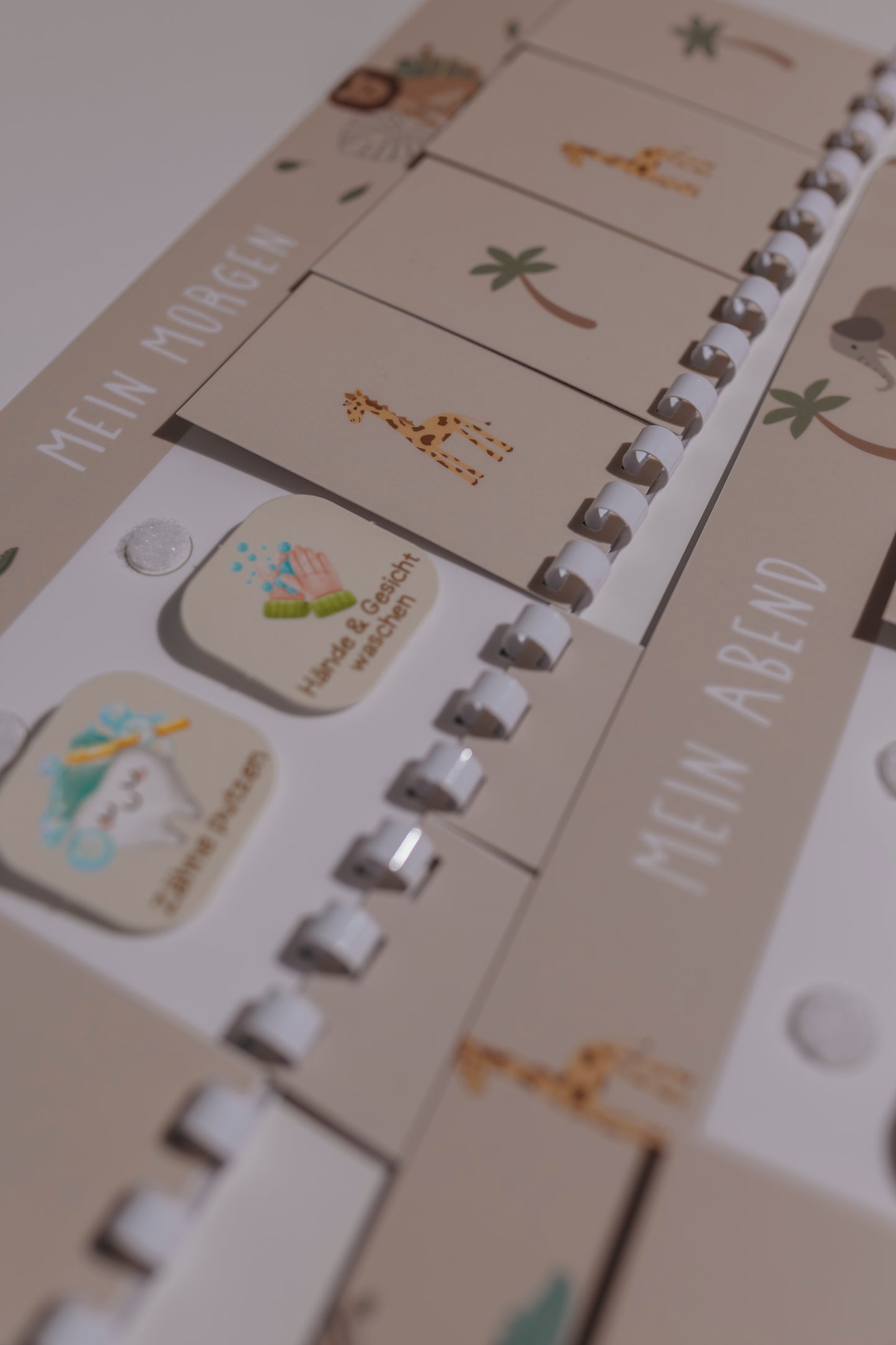 Morgen- und Abendroutine Set SAFARI