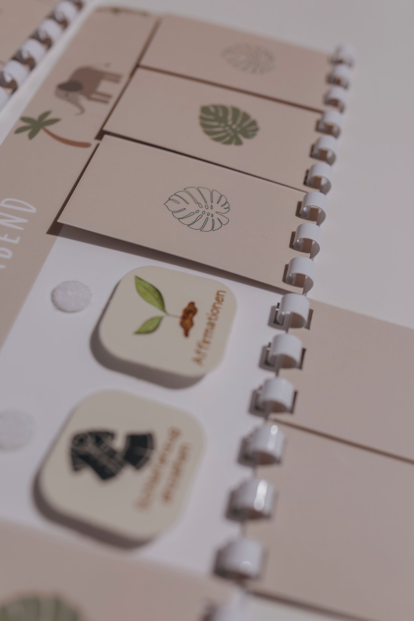 Morgen- und Abendroutine Set SAFARI