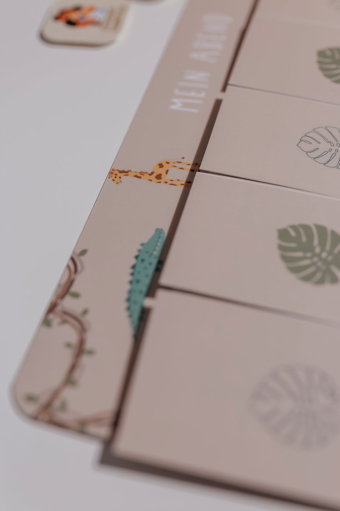 Morgen- und Abendroutine Set SAFARI