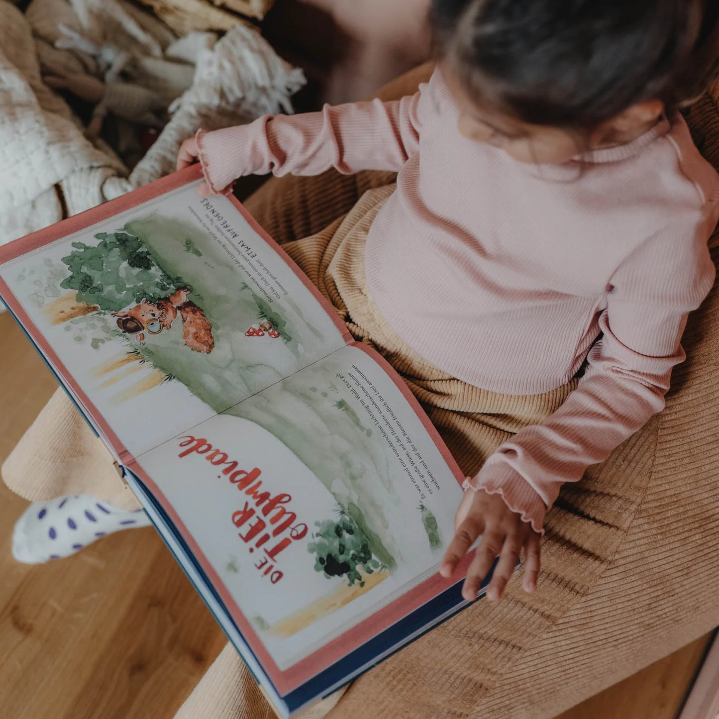 Die schönsten Vorlesegeschichten aus dem fliegenden Haus