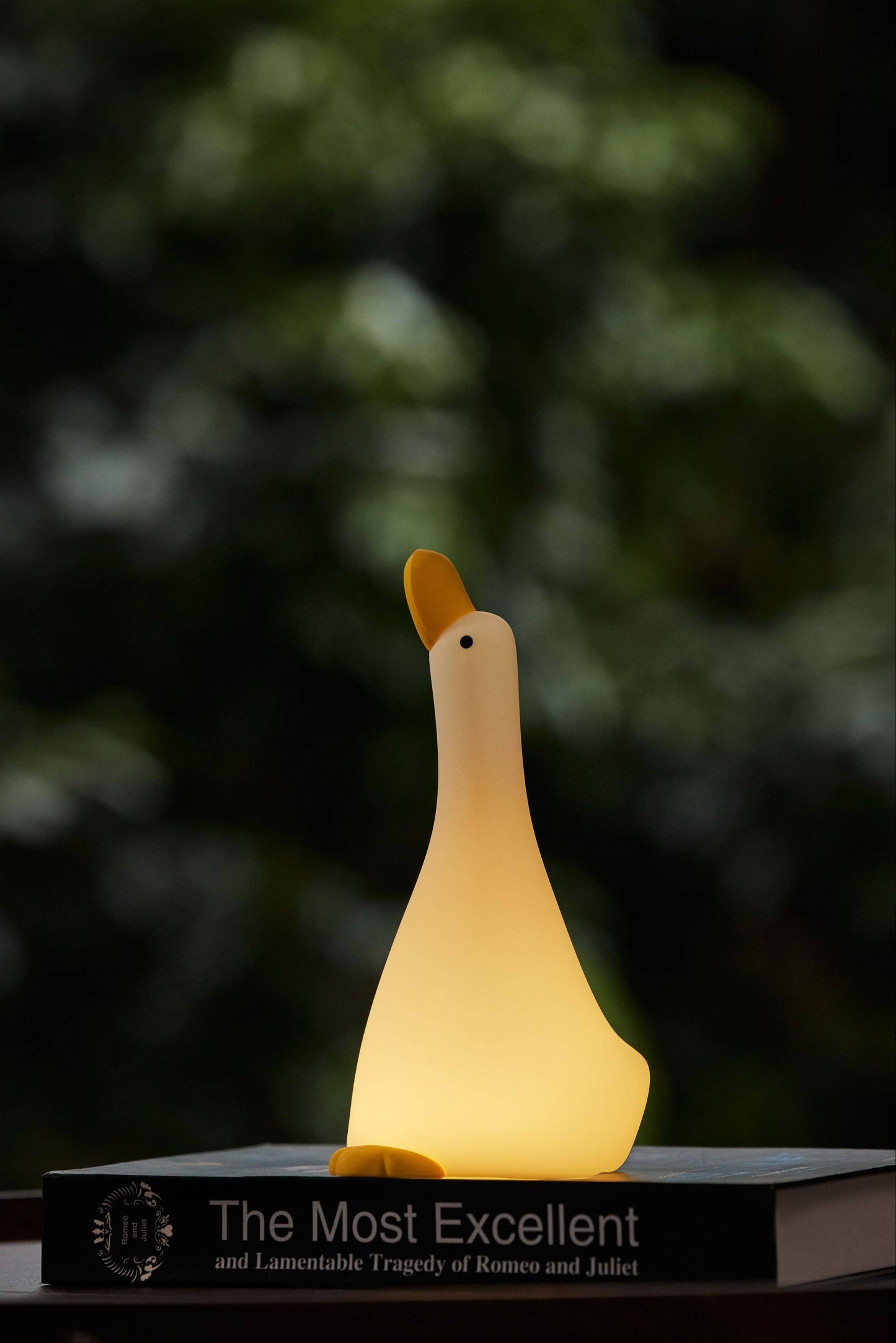 Nachtlicht "Goose" mit 3 Helligkeitsstufen und Timer