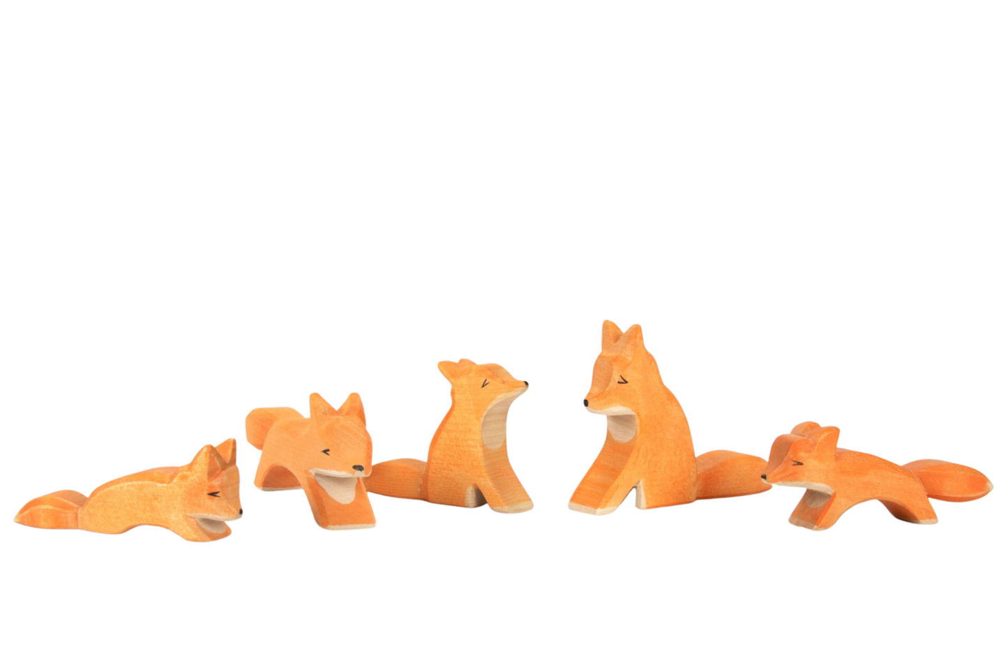 Fuchs (verschiedene Varianten)