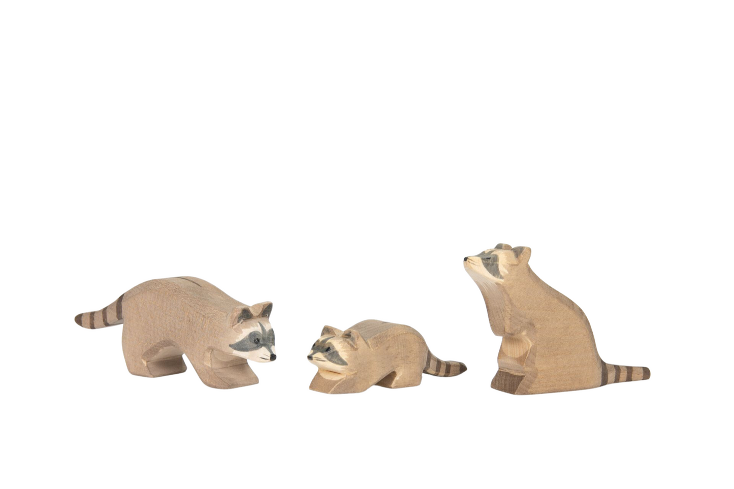 Waschbär (verschiedene Varianten)